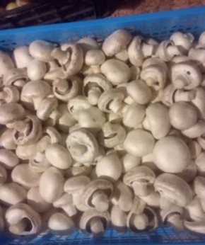 ��� ������� ������������ ���������� ����: ������� ������