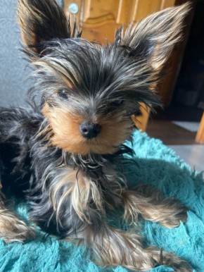 � ������� 19 ����� � ����������� ������� ����� ������� � ������������