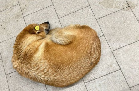 ������ �����, � �������� ����: � �������� ������� �������, �������� 13 ��������� ������