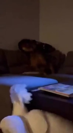 ������, ��� �������� ������, ��������� � ������ ������ ��������