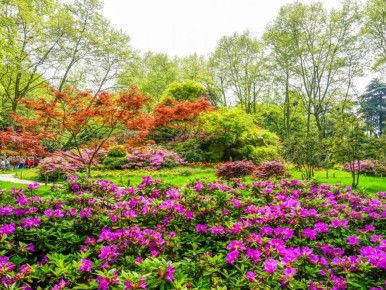 ��� �������� ������� � ��� ���: ���� �������� ��� ���������� ��������