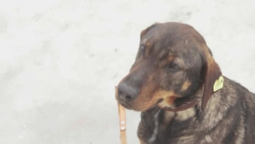 "���� �����": ������ ��������!