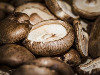 ������� ������ ������: ��� ���������� ������ ���� � ������� ���������