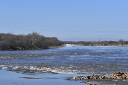 На 24 малых реках Саратовской области наблюдается вскрытие льда