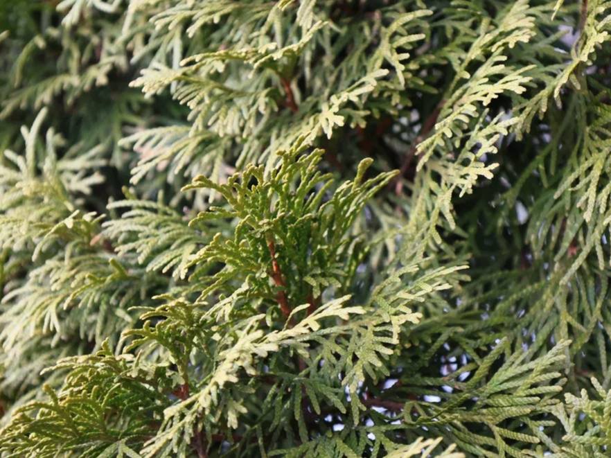 Весна оживает на улице и в душе Весна оживает на улице и в душе