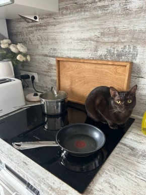 Первый выходной подходит к концу