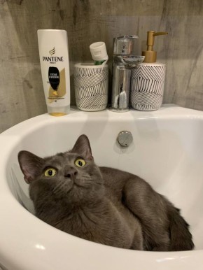 Отключение холодной воды в Саратове