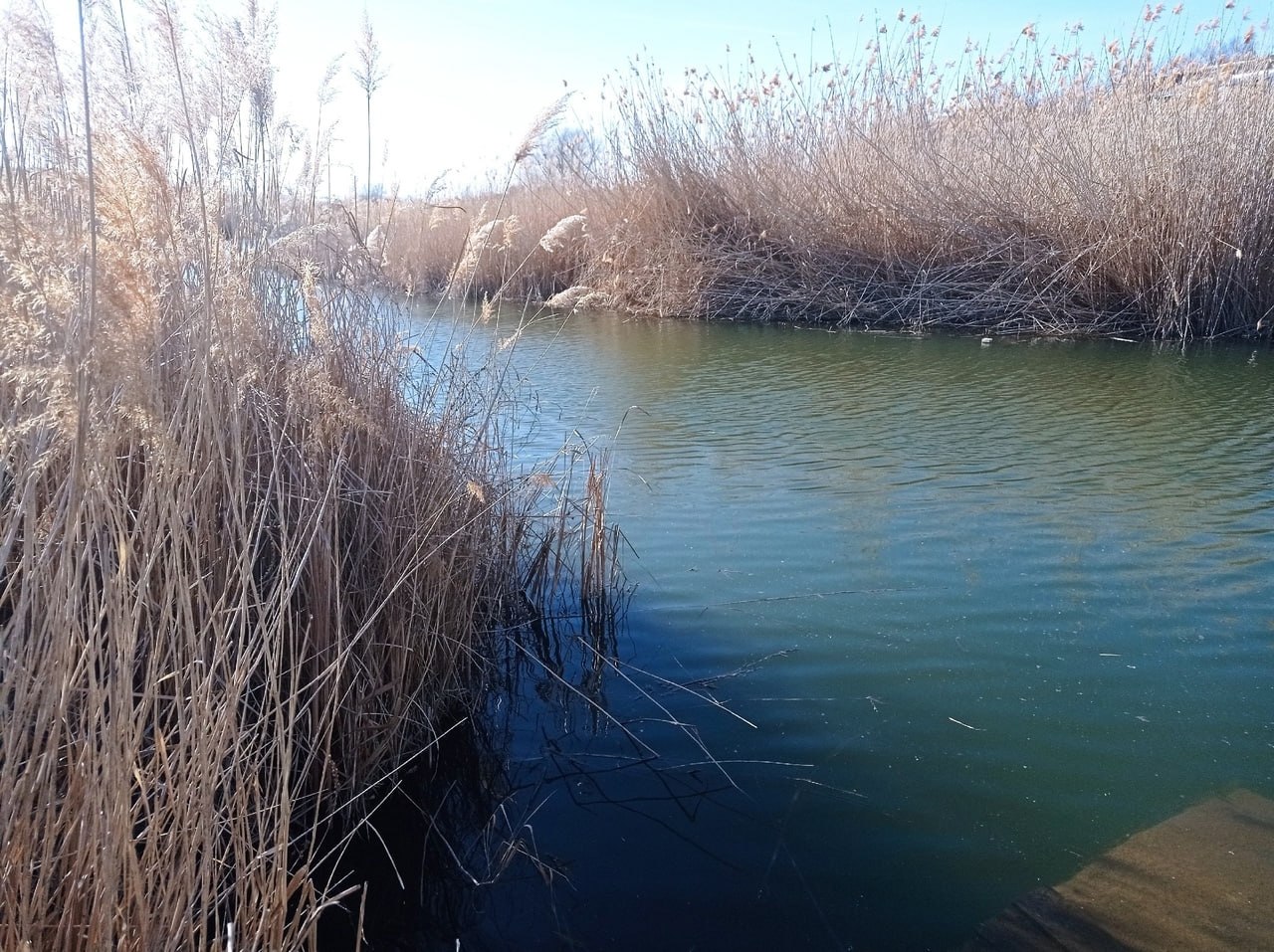 На территории Саратовской области со 2 апреля начинается пожароопасный сезон