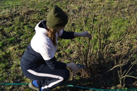 �������� ������� ������� ��������� ��� �������� ������