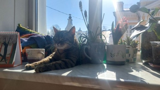 В воскресенье 22 марта в Саратовской области воздух прогреется до +14°С