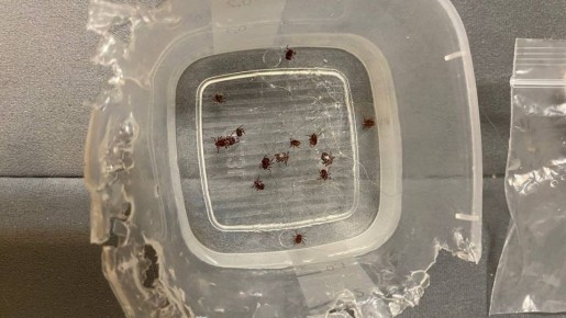 ���������� ����������, ��� �������� ������ �� ������