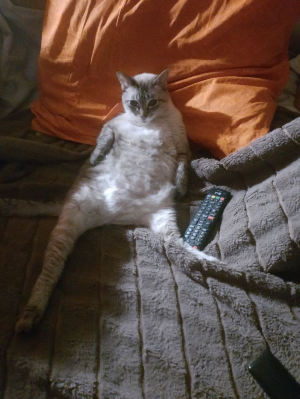 Прогноз погоды на 23 марта в Саратовской области Прогноз погоды на 23 марта в Саратовской области