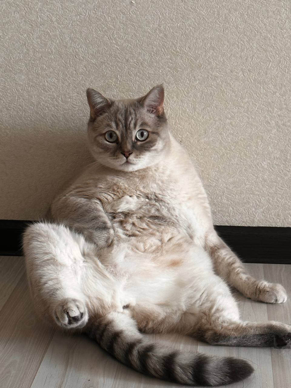 Прогноз погоды на 23 марта в Саратовской области