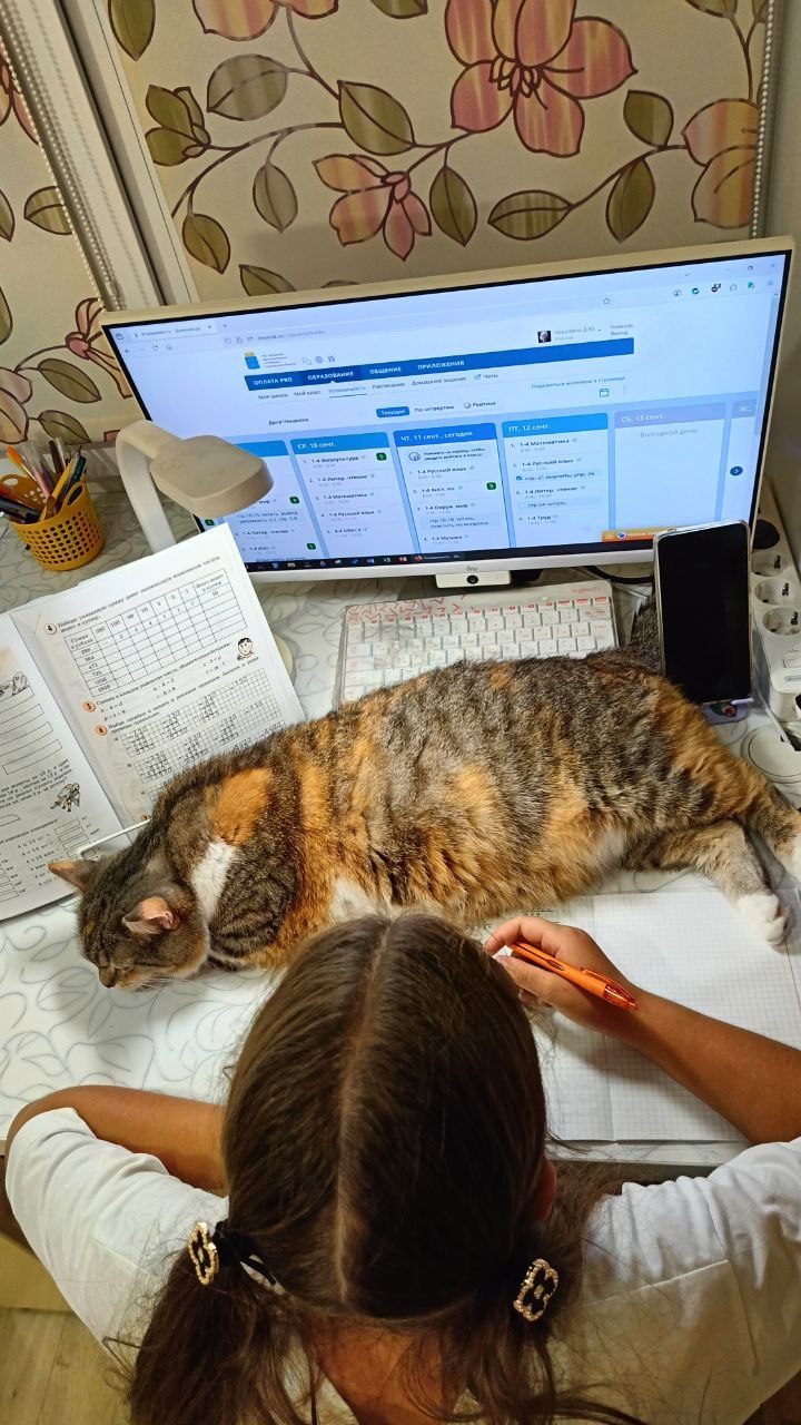 Прогноз погоды на 23 марта в Саратовской области Прогноз погоды на 23 марта в Саратовской области