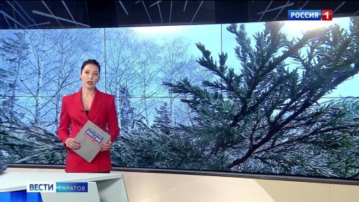 ���������� ������� 10 �������� �����