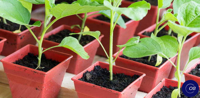 Как правильно подготовить семена к посеву