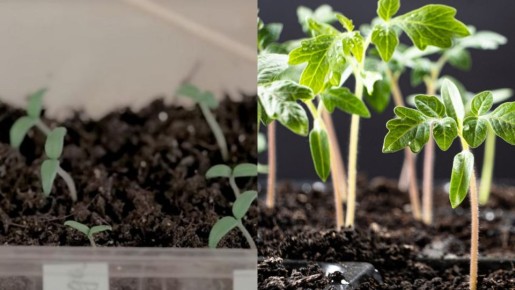 ��� ��������� ���������� ������: ������ ��� ��������