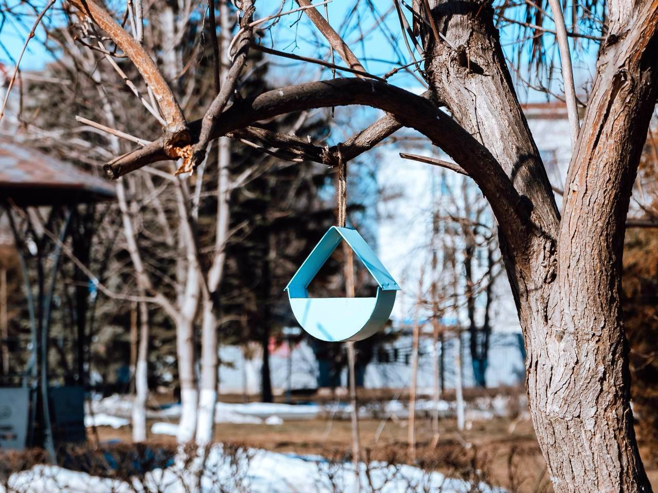 Город в кадре Город в кадре