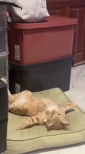 ������� ����! ����� ������� �� ����� ������ ��������