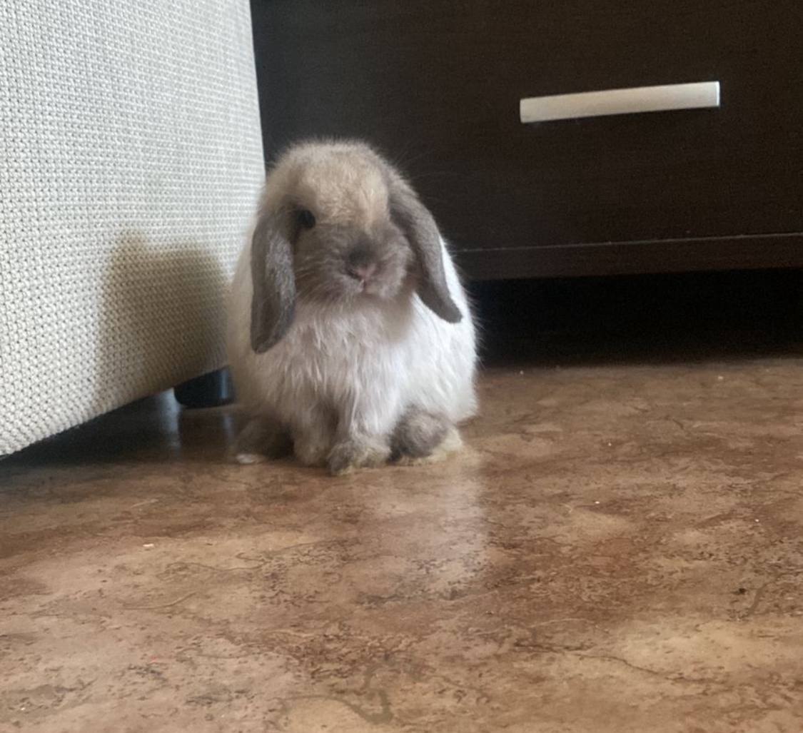 В четверг 26 марта в Саратовской области ожидаются дожди В четверг 26 марта в Саратовской области ожидаются дожди