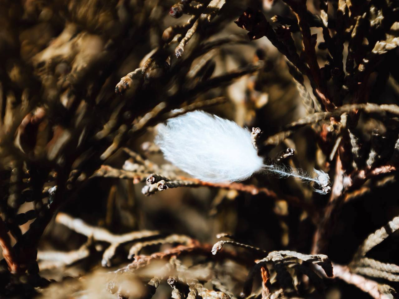 Город в кадре Город в кадре