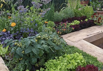 ��� ������������ ���� ����� ������ � ����� �� ����������