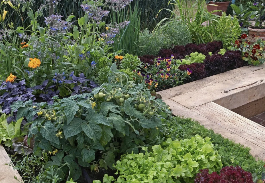 Как использовать воду после стирки в уходе за растениями