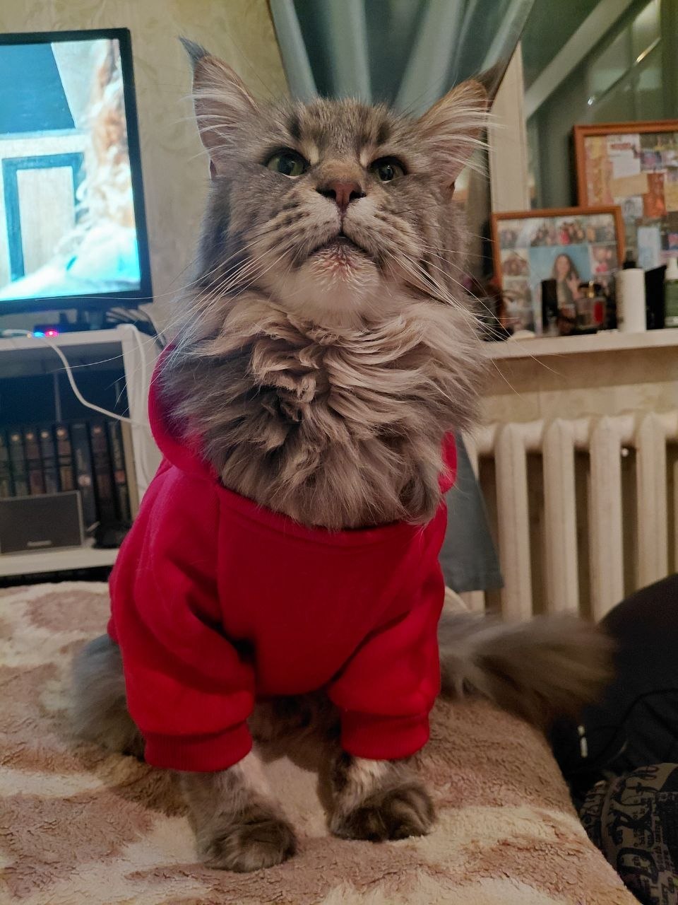 В пятницу 27 марта в Саратовской области до +17°С В пятницу 27 марта в Саратовской области до +17°С