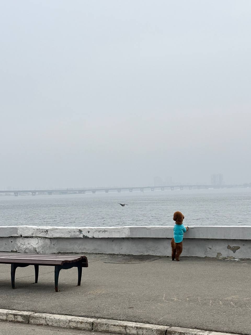 В пятницу 27 марта в Саратовской области до +17°С В пятницу 27 марта в Саратовской области до +17°С