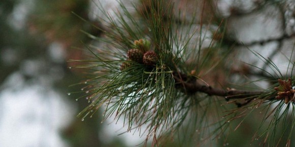 � �������� ������� ��������� ����� � ������� �����