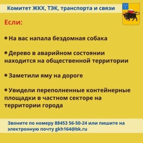 Поддерживать порядок в нашем городе Энгельсе важно всем вместе