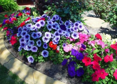 ������� ��������� ������ �������: ��� ��������� ��������� �������