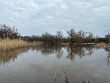 ������� � ����������� �������: ������ � ������� ��� �����, �� ����� ���� �� �����