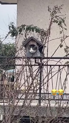 Погода в Саратове не позволит отключить отопление