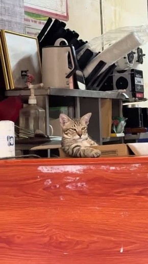 �� ��������, �� �����)