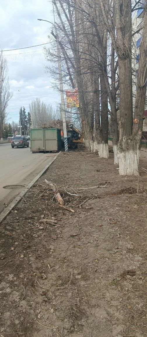 Работы по благоустройству в городе Балаково ведутся ежедневно Работы по благоустройству в городе Балаково ведутся ежедневно