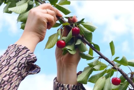 ������� �������� �����: ��� ���������� � ������������� �������