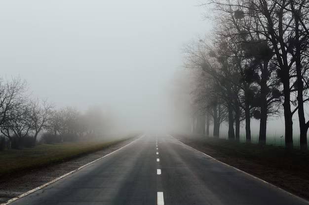 По данным Гидрометцентра 29.03.2026 на территории Саратовской области облачная погода, с прояснениями