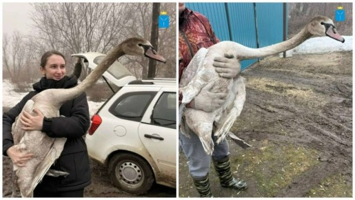 Главное в Саратовской области к этому часу: