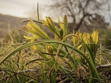 ������� � ������