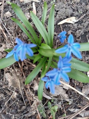 Прогноз погоды на 30 марта в Саратовской области