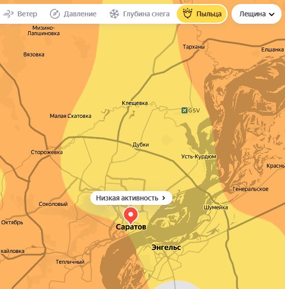 Сезон аллергии открыт: ольха и лещина уже "пылят" Сезон аллергии открыт: ольха и лещина уже "пылят"