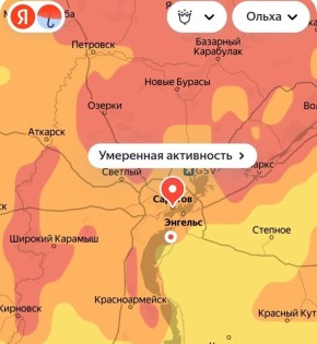 Сезон аллергии в Саратовской области уже начался