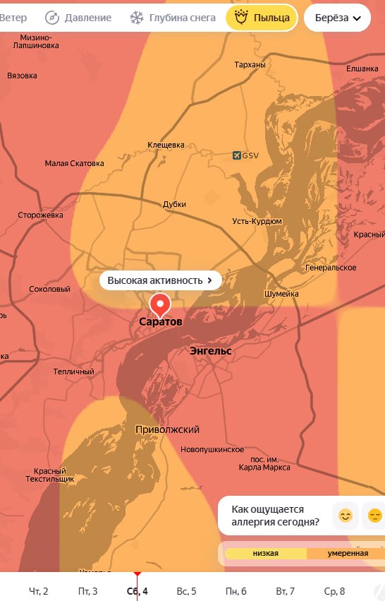 Сезон аллергии открыт: ольха и лещина уже "пылят" Сезон аллергии открыт: ольха и лещина уже "пылят"