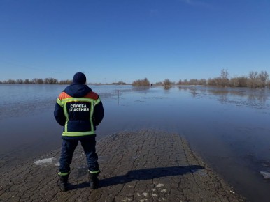 �������: � ����������� ������� ������� ������ �� �����