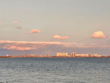 В Волге ученые обнаружили 10 новых видов рыб