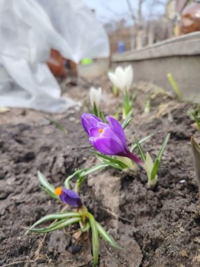 � ����� 1 ������ � ����������� ������� ��������� �����