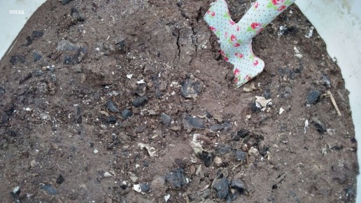 ��� ������ ��������� ���������� �����, ��������� ����������� ����