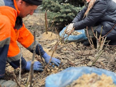 � ������� ������ ������������ ������ �� ���������� ������� ���