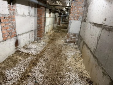 ������������� �������� �������� �������� ������� ������ �������� � ������������ ��������